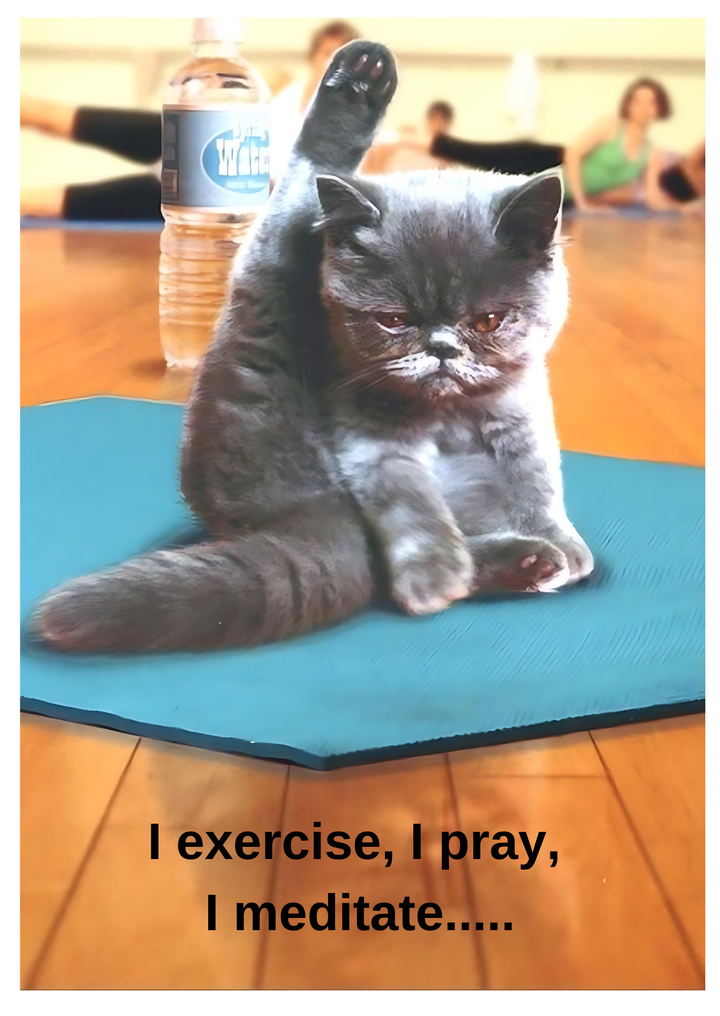 74. Yoga Cat Card. C07