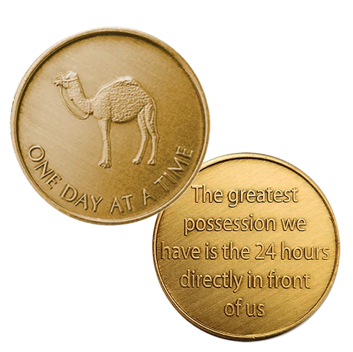 C14a. Camel, "One Day At A Time" Front, "Greatest Possession", Bronze Coin. BRM133