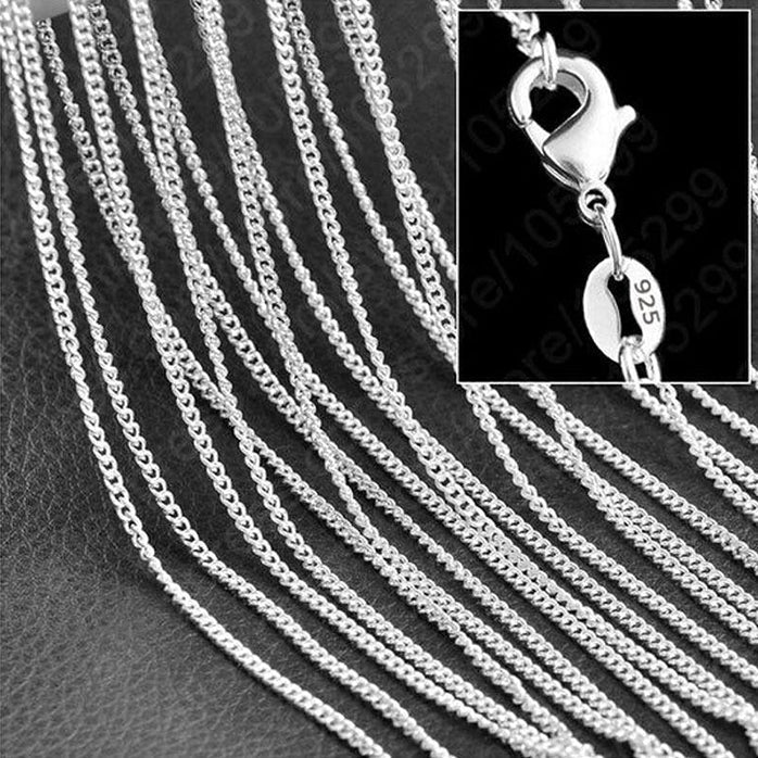 F005. Medallion Holder Necklace: Silver, 24 or 30 inch.