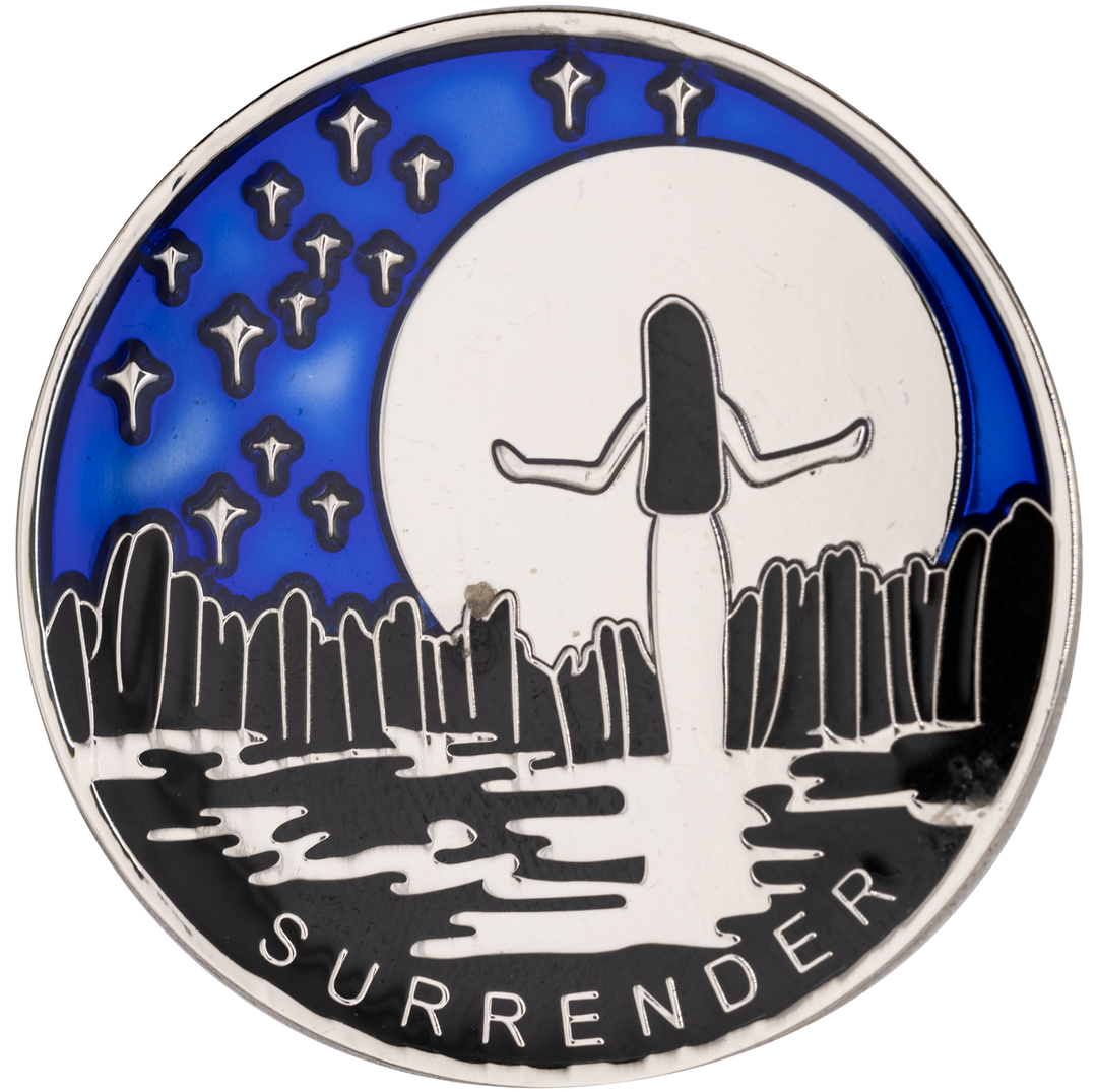 #Z29. Surrender Recovery Chip Coin