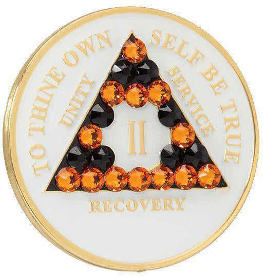 #a09. AA Chip, Glow in Dark coin w Orange/ Black Crystals (1-65)